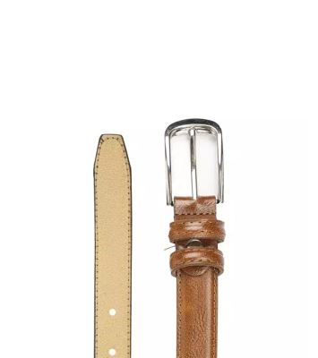 کمربند سوگو